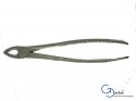 Forceps 