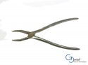 Forceps