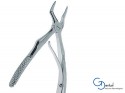 Forcep pediatrico Raices sup (Padron Ingles) Benis    