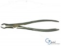 Forceps