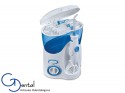 Waterpik Teledyne WP-100E 220Volts